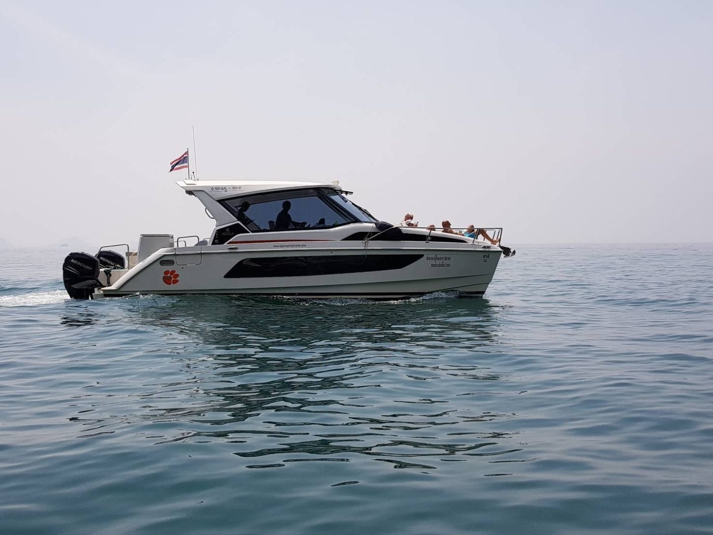 luxury catamaran speed