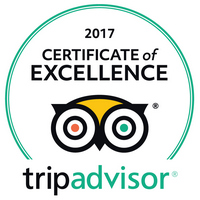 2017 Certificate of Excellence – Tiger Marine Charter