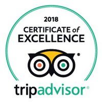 2018 Certificate of Excellence – Tiger Marine Charter