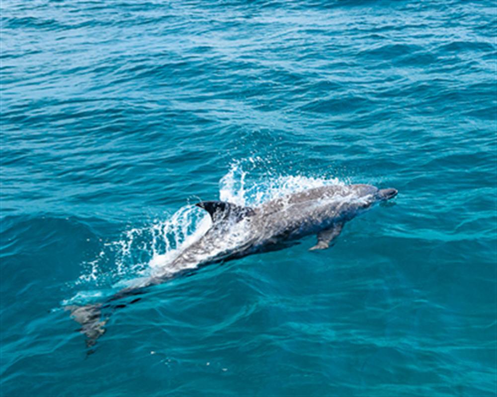 Koh Maithon Island - Best islands around Phuket Thailand to explore today