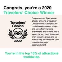 Top 10 percent Trip Advisor