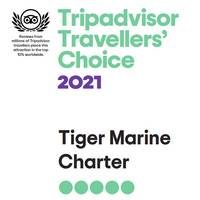 Trip Advisor TC 2021