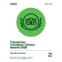Trip Advisor 2025